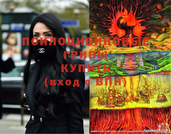 гидропоника Баксан
