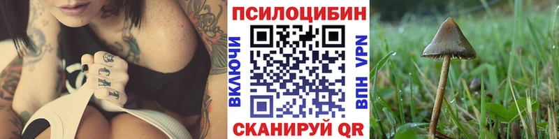 Псилоцибиновые грибы Magic Shrooms маркетплейс состав Верещагино